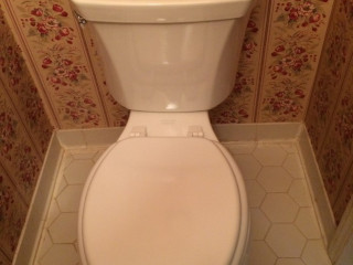 toilet_replacement (3).JPG
